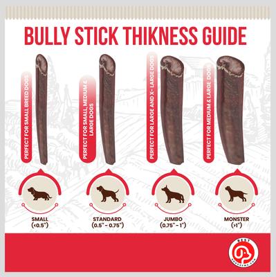 Jumbo 12-in Bully Sticks Dog Treats, 3 count
