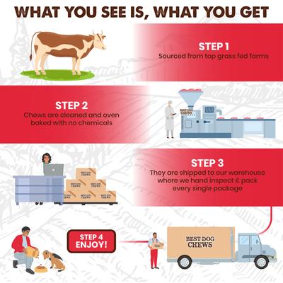 Jumbo 12-in Bully Sticks Dog Treats, 3 count