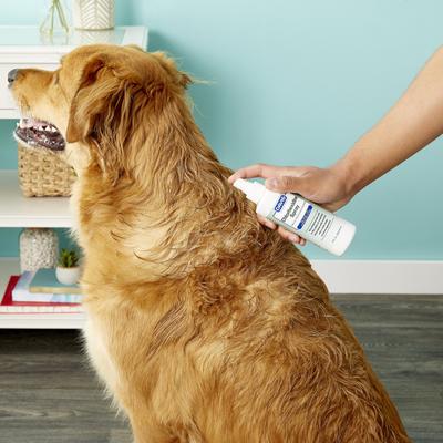 Chlorhexidine Dog & Cat Spray, 8-fl oz bottle