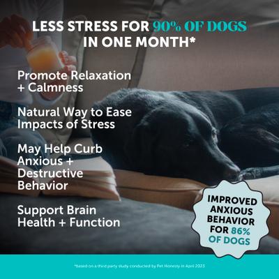 Hemp Calming Max-Strength Duck Flavored Melatonin, Ashwaganda & L-Theanine Chews Calming & Anxiety Supplement for Dogs, 90-count