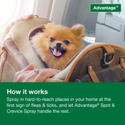 Household Spot & Crevice Spray, 24-fl oz spray