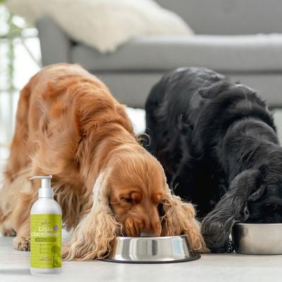 Liquid Glucosamine+ Bacon Flavor Liquid Joint Supplement for Dogs, 32-fl oz bottle