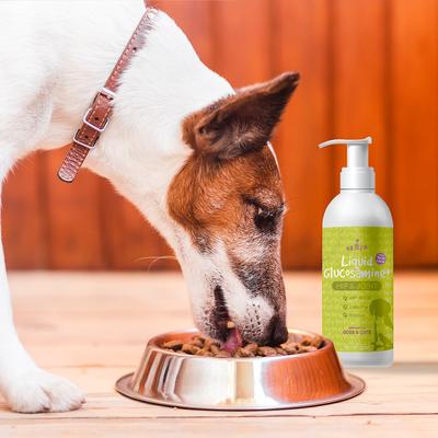 Liquid Glucosamine+ Bacon Flavor Liquid Joint Supplement for Dogs, 32-fl oz bottle
