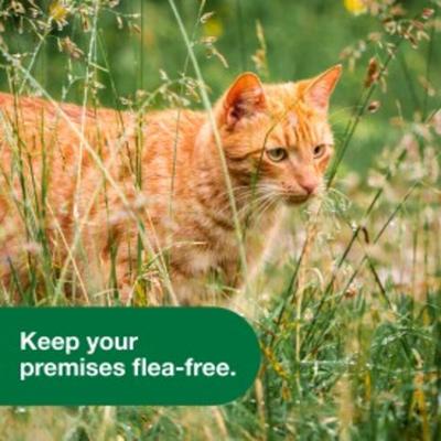 Yard & Premise Spray, 32-fl oz hose-end spray