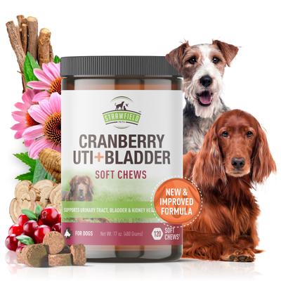 Cranberry + UTI Bladder Chews Grain-Free Dog Supplement, 120 count