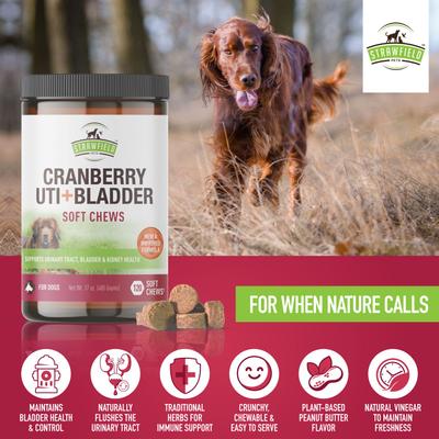 Cranberry + UTI Bladder Chews Grain-Free Dog Supplement, 120 count