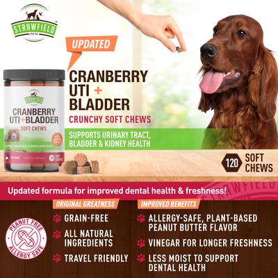 Cranberry + UTI Bladder Chews Grain-Free Dog Supplement, 120 count