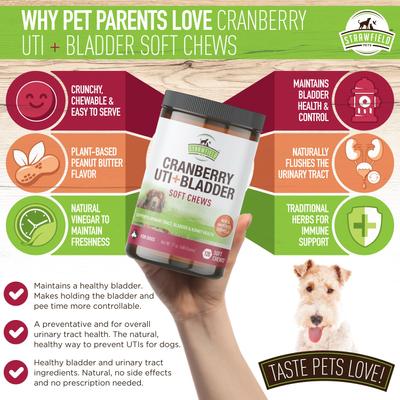 Cranberry + UTI Bladder Chews Grain-Free Dog Supplement, 120 count