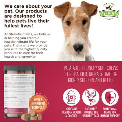 Cranberry + UTI Bladder Chews Grain-Free Dog Supplement, 120 count