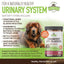 Cranberry + UTI Bladder Chews Grain-Free Dog Supplement, 120 count