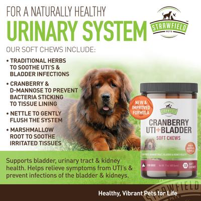 Cranberry + UTI Bladder Chews Grain-Free Dog Supplement, 120 count