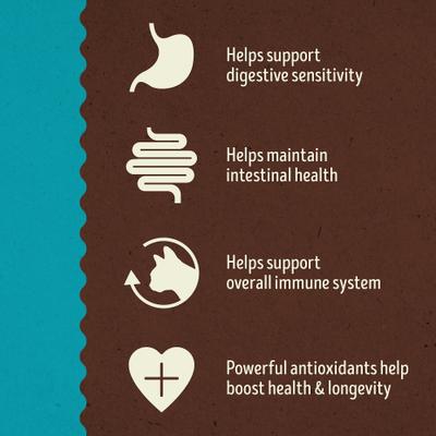 Whitefish Meal & Salmon Meal Grain-Free Dry Cat Food, 11-lb bag