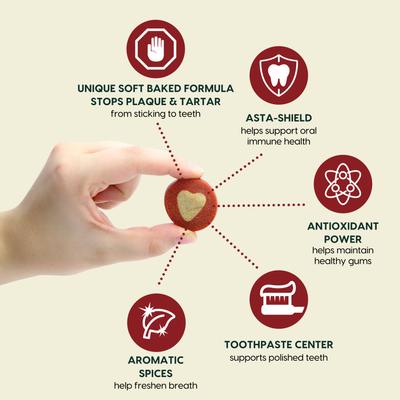 Soft Shield Protection+ Brushless Toothpaste Small Dental Dog Treats, 12-oz bag