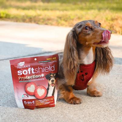 Soft Shield Protection+ Brushless Toothpaste Small Dental Dog Treats, 12-oz bag