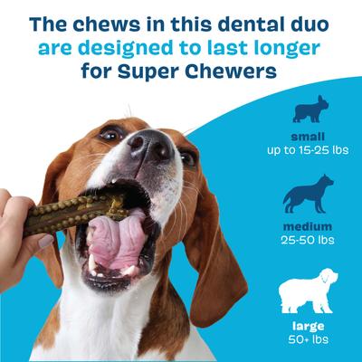 Bright Durable Dental Kit: Large Mint Flavored Dental Dog Treats + Chicken & Thyme Flavored Dog Dental Gel, 15 count, 2.5-oz gel