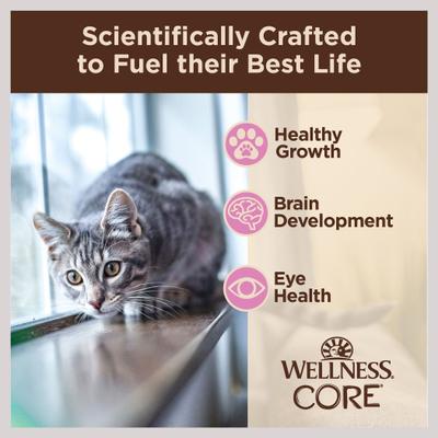 CORE Tiny Tasters Kitten Chicken Grain-Free Pate Wet Cat Food, 1.75-oz pouch, case of 12