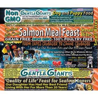 Natural Adult Non-GMO Grain-Free Salmon Small Bites Dry Dog Food, 3-lb bag