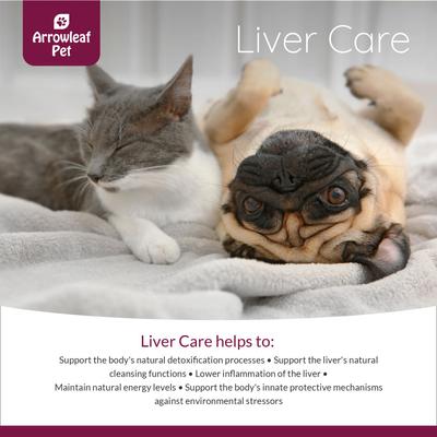 Liver Care Milk Thistle Detox Supplement for Cats & Dogs, 100-ml bottle
