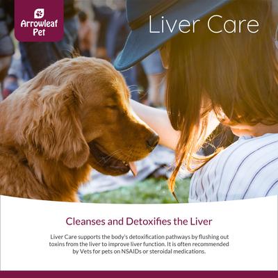 Liver Care Milk Thistle Detox Supplement for Cats & Dogs, 100-ml bottle