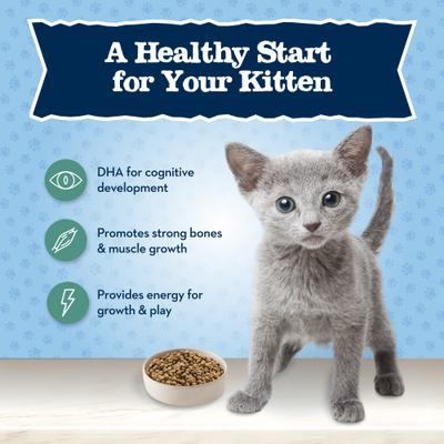 Bundle: Blue Buffalo Baby BLUE Healthy Growth Formula Grain-Free High Protein, Natural Kitten Dry Cat Food, Chicken & Pea Recipe 2-lb + Pate Wet Food Variety Pack, Chicken, Salmon