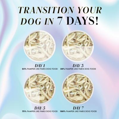 Non-GMO Chicken & Rice Dinner Shredded Wet Dog Food, 2.75-oz cup, case of 10