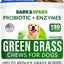 Grass Burn Spot Chews for Dogs & Urine Neutralizer & Grass Saver with Probiotics & Digestive Enzymes Chew Supplement for Dog, 120 count