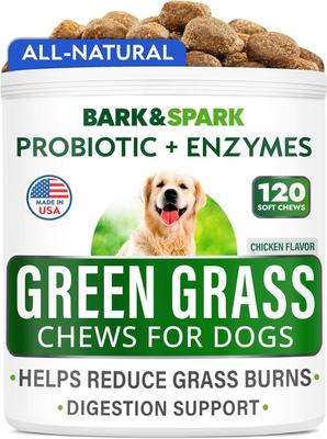 Grass Burn Spot Chews for Dogs & Urine Neutralizer & Grass Saver with Probiotics & Digestive Enzymes Chew Supplement for Dog, 120 count