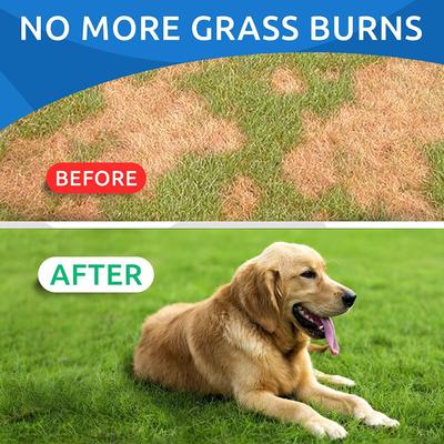 Grass Burn Spot Chews for Dogs & Urine Neutralizer & Grass Saver with Probiotics & Digestive Enzymes Chew Supplement for Dog, 120 count