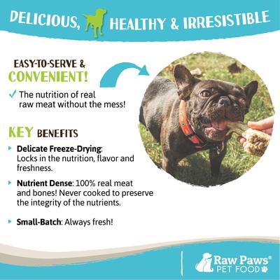 Freeze-Dried Duck Neck Raw Dog Chew, 5-oz bag