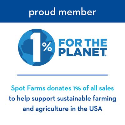 Chicken Jerky Hip & Joint Formula Human-Grade Jerky Dog Treats, 12-oz bag