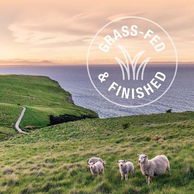 Variety Pack Grain-Free Wet Cat Food, 3-oz pouch, case of 12