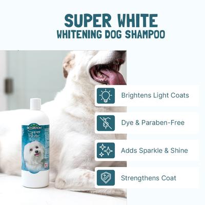 Super White Dog Shampoo, 2.5-gallon jug