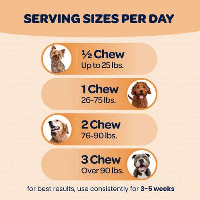 Skin & Coat Omega-3 Dog Supplement, 90 Count