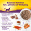 Alimento enlatado natural para perros Complete Health Chicken & Sweet Potato Formula, 12 onzas (340 g), caja de 12