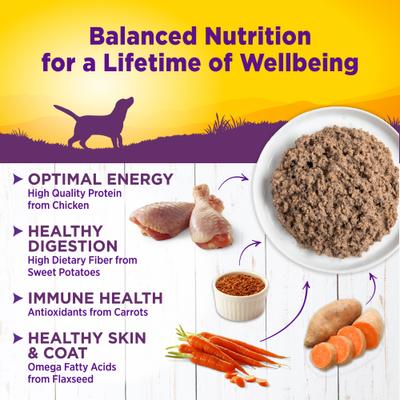 Alimento enlatado natural para perros Complete Health Chicken & Sweet Potato Formula, 12 onzas (340 g), caja de 12