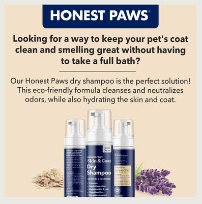 Hydrating Skin & Coat Waterless Dog Shampoo, 6.3-fl oz bottle