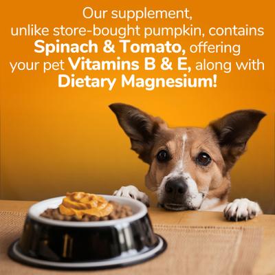Pumpkin SuperBlend Digestive Dog & Cat Supplement, 15-oz, case of 12