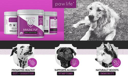 Immune Pup Allergy + Digestive Support Salmon Flavor Soft Chews Dog Supplement, 120 count