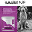 Immune Pup Allergy + Digestive Support Salmon Flavor Soft Chews Dog Supplement, 120 count