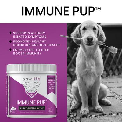 Immune Pup Allergy + Digestive Support Salmon Flavor Soft Chews Dog Supplement, 120 count