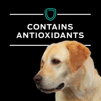 ES Alimento húmedo para perros Gastroenteric bajo en grasa, 13.4 oz, caja de 12, paquete de 2