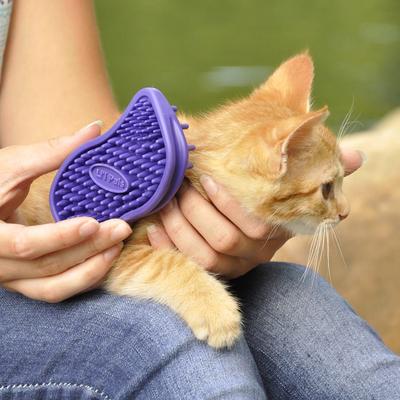 Kitten Soft Tip Massager