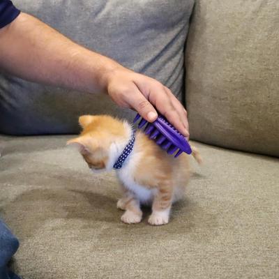 Kitten Soft Tip Massager