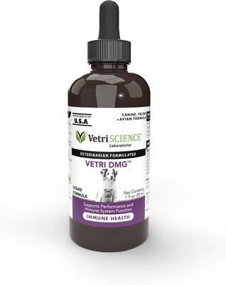 Vetri-DMG Liquid Immune Supplement for Dogs, Cats & Birds, 28-mL