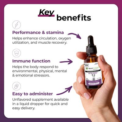 Vetri-DMG Liquid Immune Supplement for Dogs, Cats & Birds, 28-mL