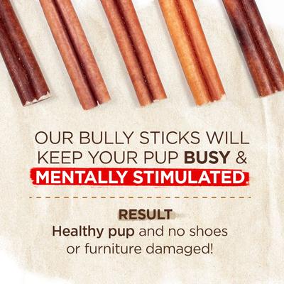 Beef 12-in Bully Sticks Dog Treats, 1 count