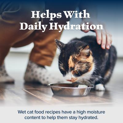 Wilderness Turkey Grain-Free Canned Cat Food, 5.5-oz, case of 24