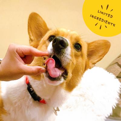 Turmeric Latte Coconut, Vanilla & Turmeric Dog Treats, 5-oz bag