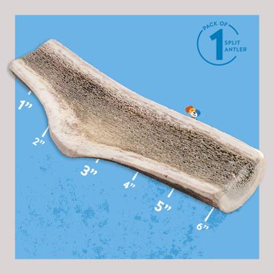 Medium Split Elk Antler Thick Dog Chew Treats, 6-in