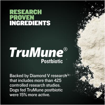 24/14 High-Protein & Growth Lamb Dry Puppy Food, 5-lb bag